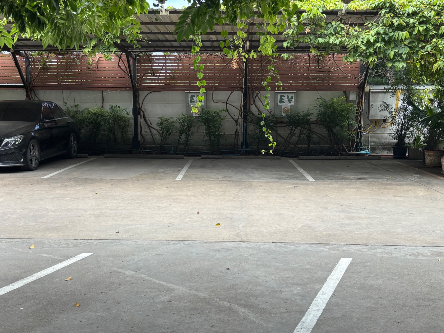 รูปที่ 7