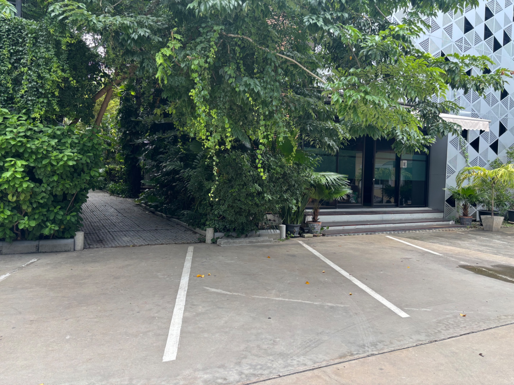 รูปที่ 6