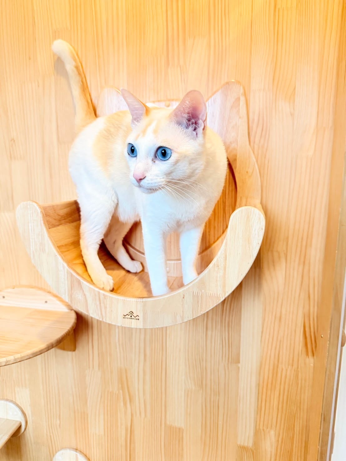 รูปที่ 4