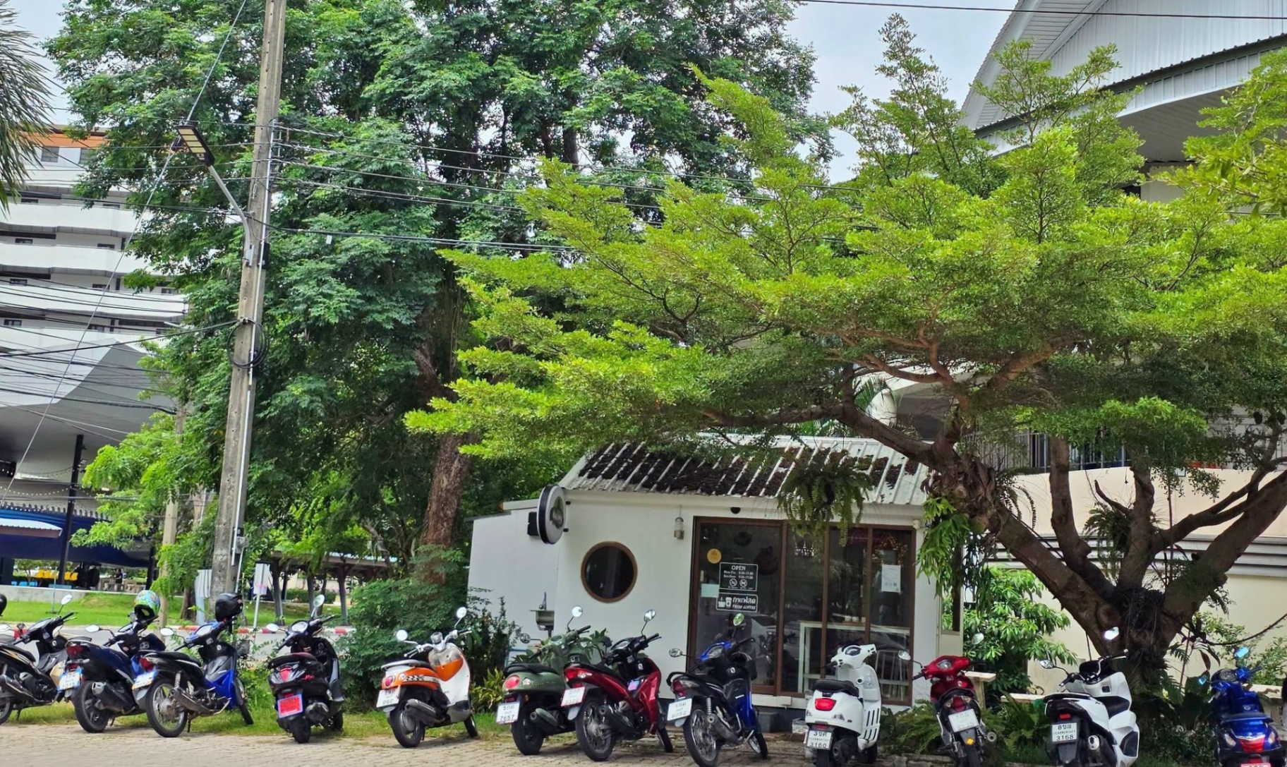 รูปที่ 2