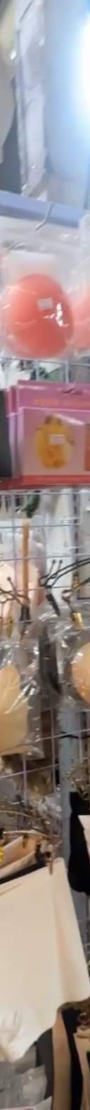 รูปที่ 1