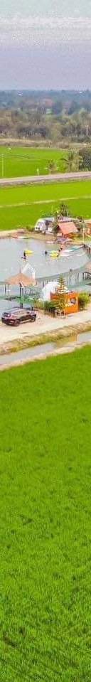 รูปที่ 7