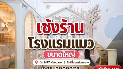 เซ้งร้านโรงแรมแมว ขนาดใหญ่ ติด MRT ห้วยขวาง มีฐานลูกค้าประจำ ใกล้สี่แยกห้วยขวา